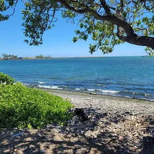 1 Free With Purchase Of Gym Training 1 , Wailuku United States